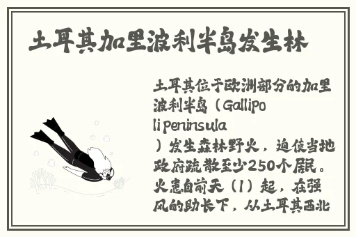 麻豆精品传媒一二三区入口位置